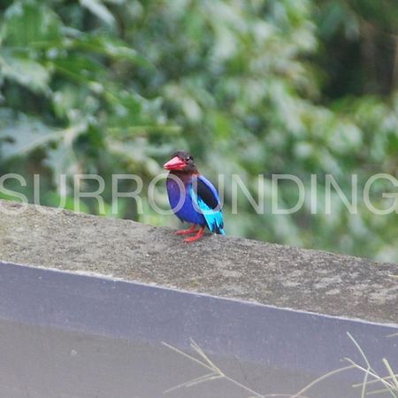 Rumah Lereng Bandung Exterior photo