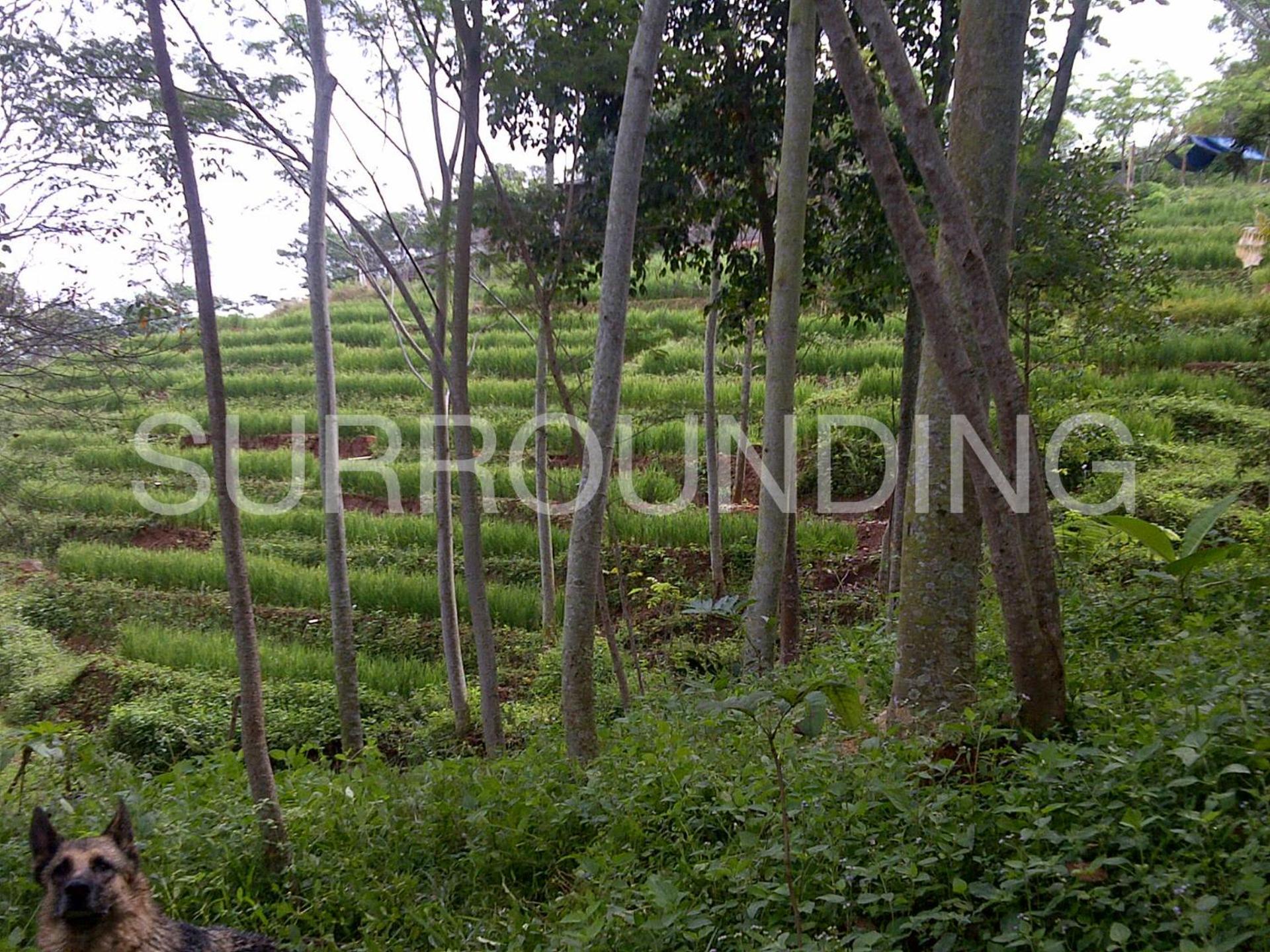 Rumah Lereng Bandung Exterior photo