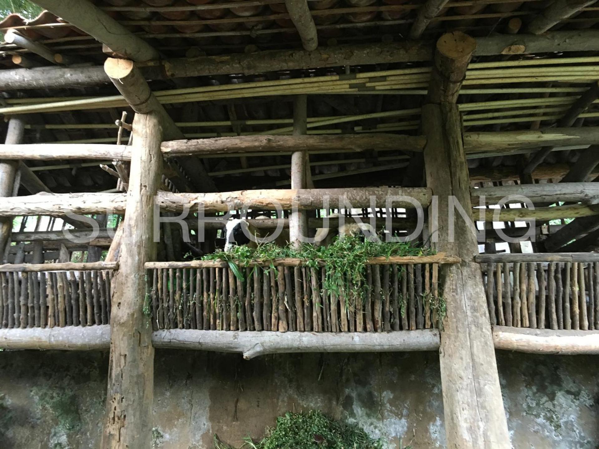 Rumah Lereng Bandung Exterior photo